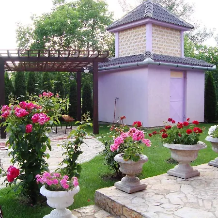 Madams - Palic-serbia Palic