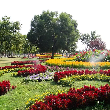Madams - Palic-serbia Guest house Palic