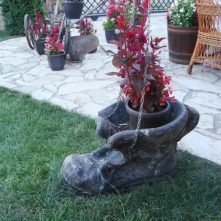 Vendégház Madams - Palic-serbia Palics