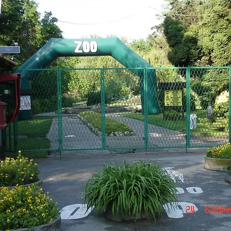 Madams - Palic-serbia Affittacamere Palić