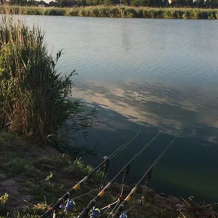 Vendégház Madams - Palic-serbia 3*