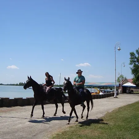 Madams - Palic-serbia Affittacamere Palić