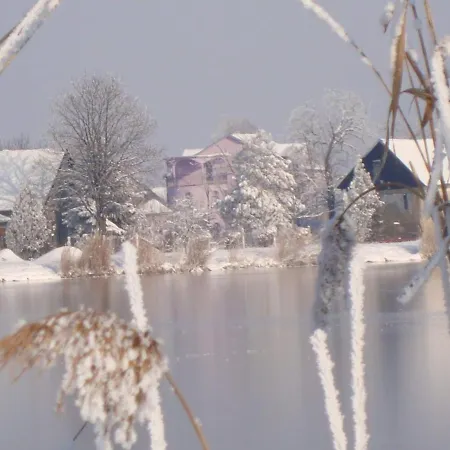 Madams - Palic-serbia Palic
